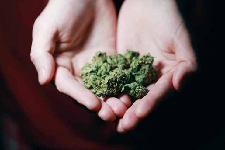 what is CBD