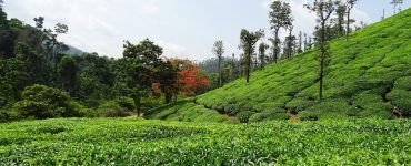 visit Chikmagalur